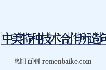 中美特种技术合作所造句是什么意思的图片